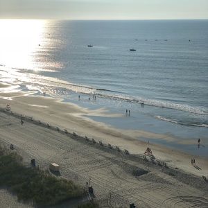 Meet your Posher, Karina